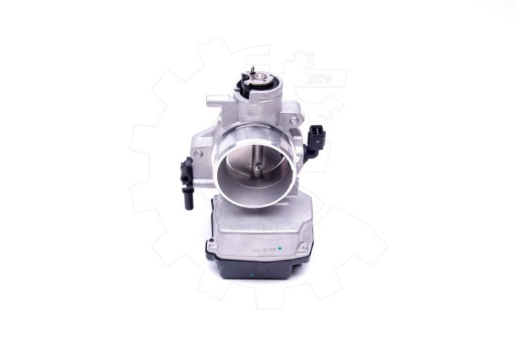02.jpg