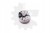 24ad75bcd7edde042f9e2c803bcda1ed.jpg