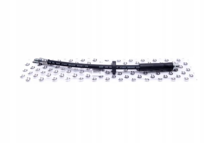 8cbd6c7bfab027bf2312acda8aa8ecab.jpg