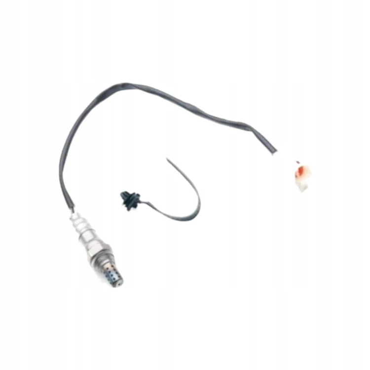 40cb7ba1bc5ec7fa1d3ae1fedb958556.jpg