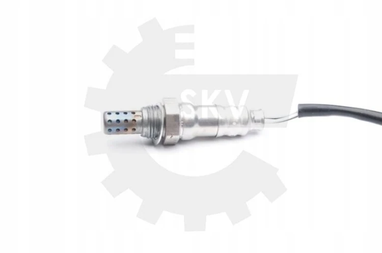 fe2519ac6fd9ef69ce70daba400cee85.jpg