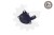 8bc1153f0c15b0eadce47e6418b8c6b5.jpg