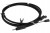 db2cabde7ca8928b8bc2441886e74c1b.jpg