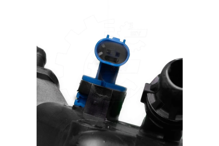 05.jpg