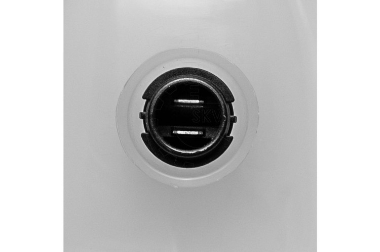05.jpg
