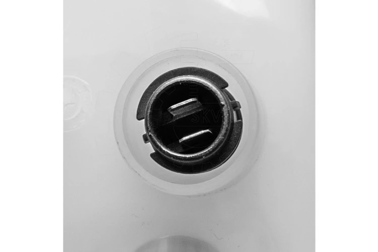 05.jpg