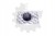 fd95e32391b61fea947b8d912452da6c.jpg
