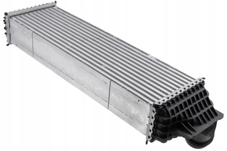 202689100ef2b194d5663a2095f1f563.jpg