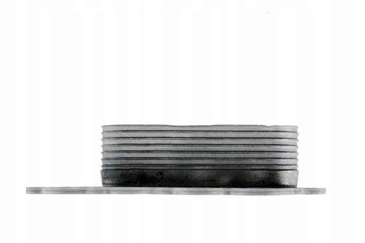9124e05f25ec54e01428c58817025766.jpg